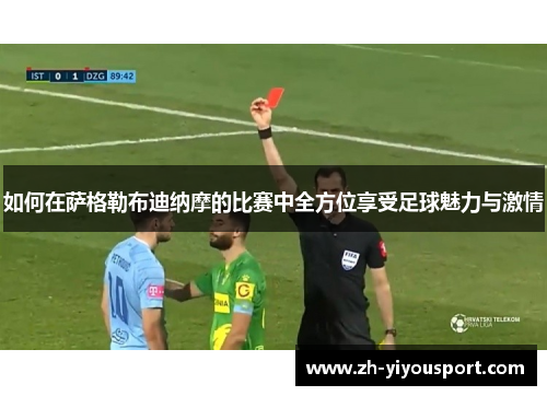 如何在萨格勒布迪纳摩的比赛中全方位享受足球魅力与激情