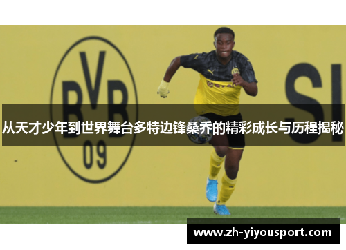 从天才少年到世界舞台多特边锋桑乔的精彩成长与历程揭秘